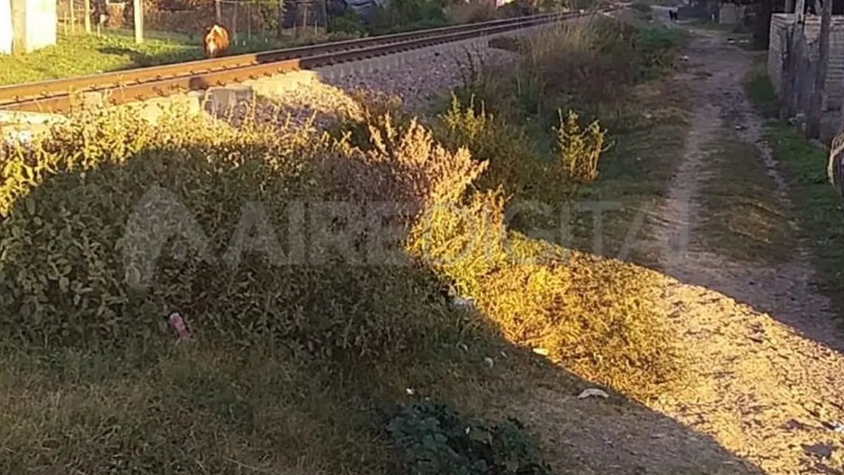 1° de Mayo y la vía