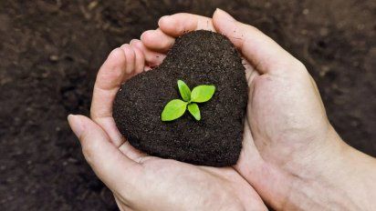 Humus para el suelo: ¿qué es y cómo podemos prepararlo en casa?