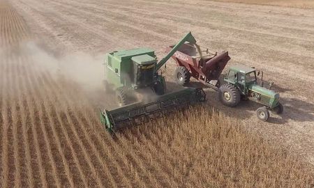 el precio de la soja tambien cayo con fuerza y suma problemas a la argentina el precio de la soja tambien cayo con fuerza y suma problemas a la argentina
