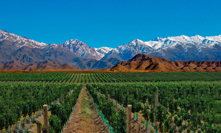 Mendoza se puede recorrer en solo 7 días y conocer todos sus atractivos más importantes. Mendoza se puede recorrer en solo 7 días y conocer todos sus atractivos más importantes.