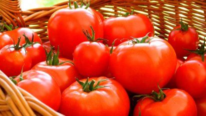 Cómo conservar mejor los alimentos que tenemos en casa