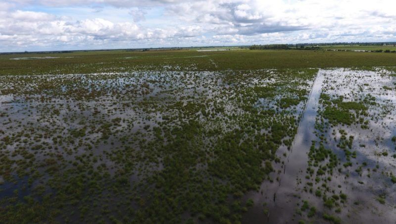 Declararon emergencia hídrica y zona de desastre agropecuario en el norte provincial