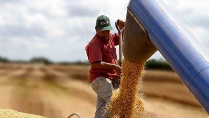 La diputada Frana pide derogar el decreto que elimina el Fondo Sojero