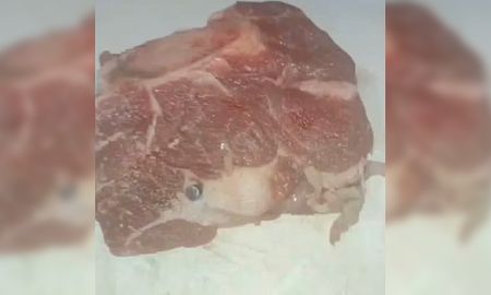 Insólito. Insólito.