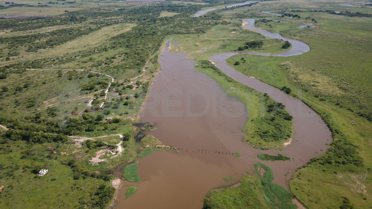 Santa Fe se prepara para la creación de un área protegida en el Sitio Ramsar Jaaukanigás bajo la categoría de reserva provincial.