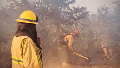 Brigadistas santafesinos ya combaten los incendios forestales en Puerto Patriada, Chubut