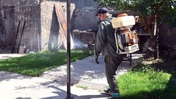 altText(Dengue en Santa Fe: los casos aumentaron 45.8% en la última semana)}