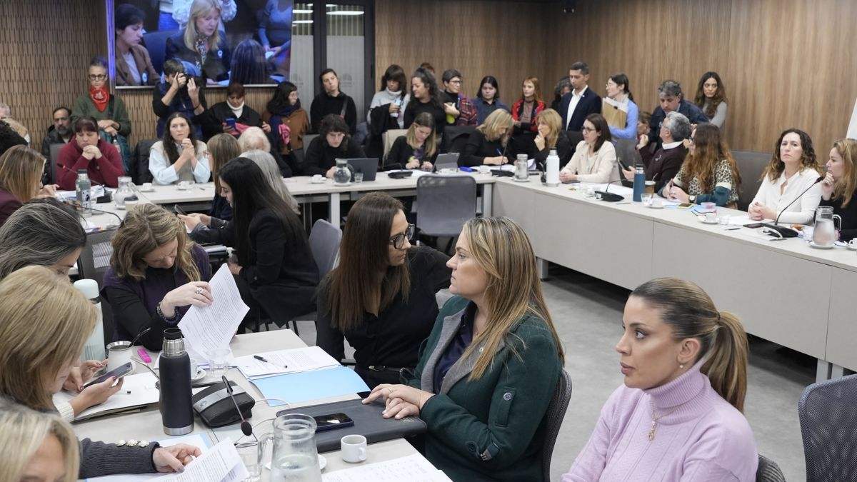 El proyecto también incorpora un capítulo destinado a promover la autonomía económica y social de las personas afectadas por situaciones de violencia. El proyecto también incorpora un capítulo destinado a promover la autonomía económica y social de las personas afectadas por situaciones de violencia.
