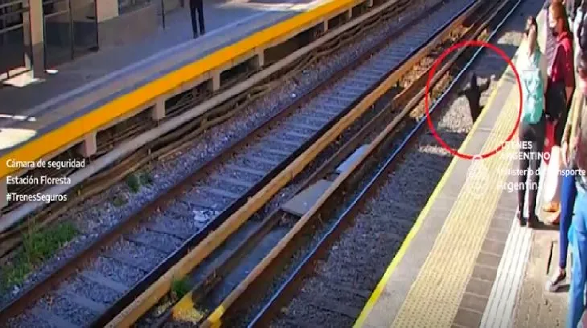 El niño caminaba hacia atrás sin darse cuenta y cayó a las vías del tren.