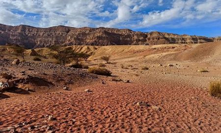 arqueologos israelies revelan secretos de una milenaria industria del vino arqueologos israelies revelan secretos de una milenaria industria del vino