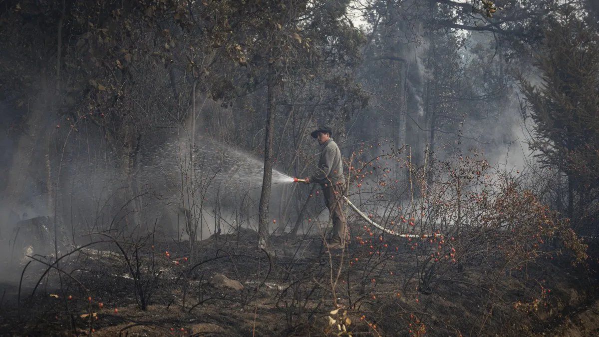 La desregulaci&oacute;n que propone la Ley &Oacute;mnibus favorece la proliferaci&oacute;n de quemas de bosques y pastizales.