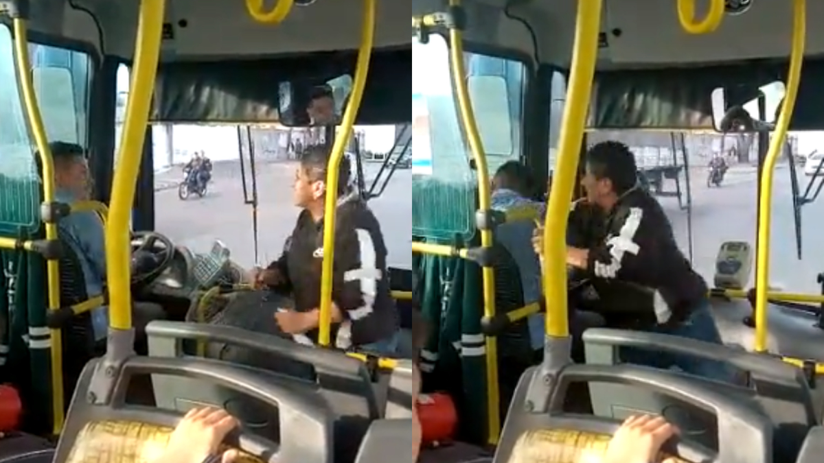 Una mujer golpeó brutalmente a un chofer de colectivo luego de un choque.