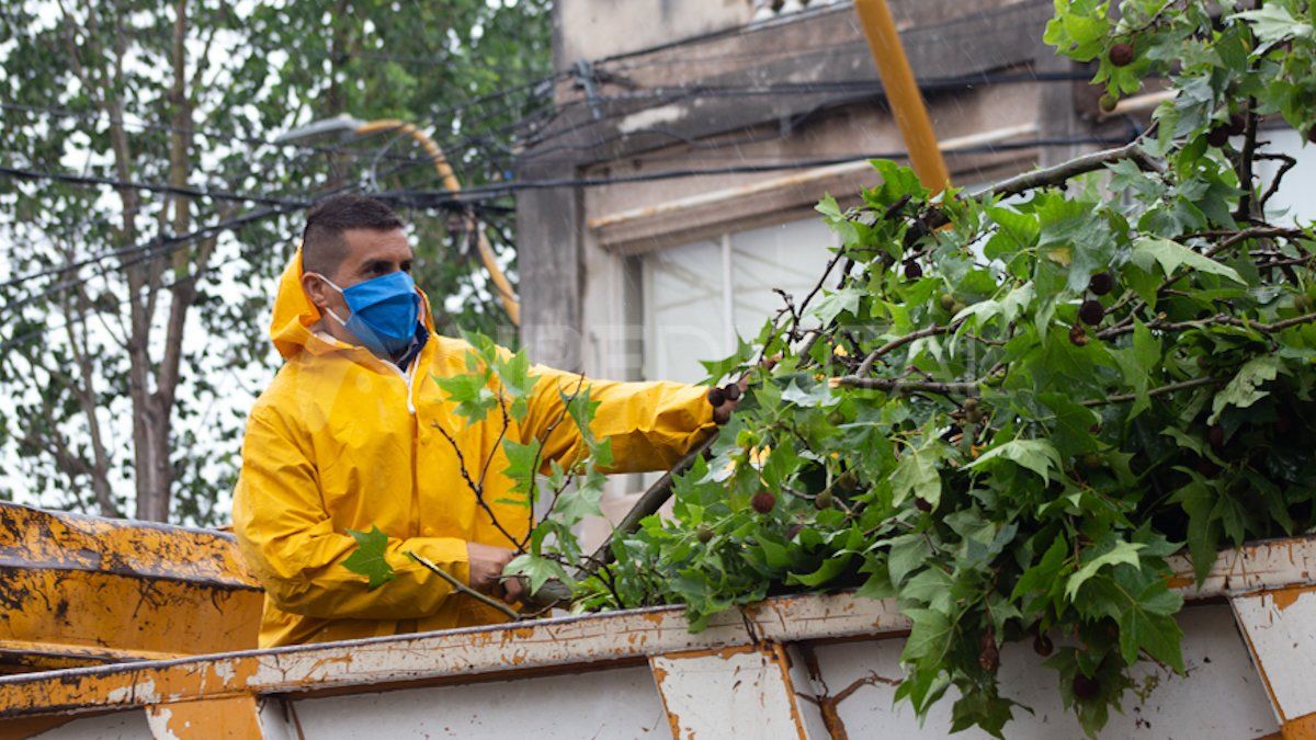El personal de la Municipalidad de Santa Fe comenzó este martes a la mañana con la limpieza de las calles.