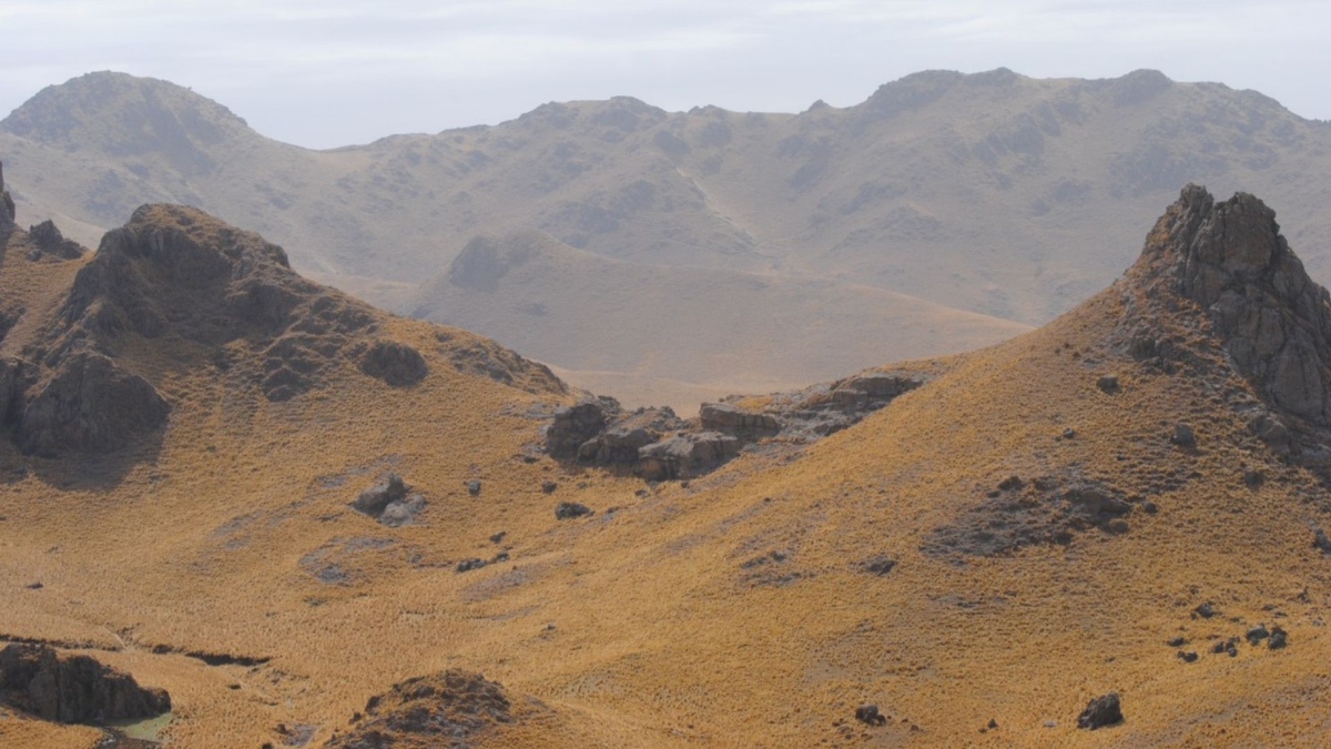 El cerro El Morro alcanza los 1.700 metros sobre el nivel del mar y ofrece senderos para trekking alrededor de su inmenso cráter volcánico. El cerro El Morro alcanza los 1.700 metros sobre el nivel del mar y ofrece senderos para trekking alrededor de su inmenso cráter volcánico.