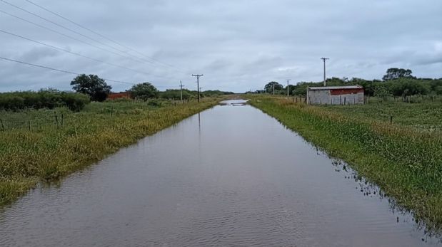El escenario se originó tras las últimas lluvias, que superaron los 200 milímetros y provocaron anegamientos