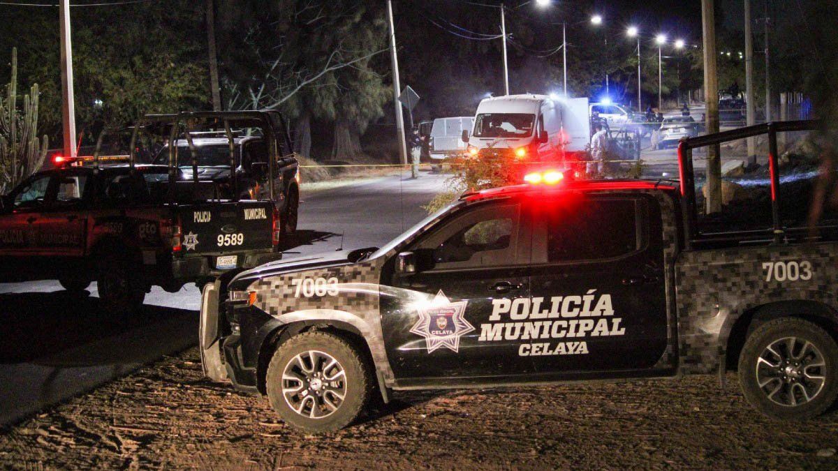 Siete mujeres y tres hombres fueron asesinados en las últimas horas en México.