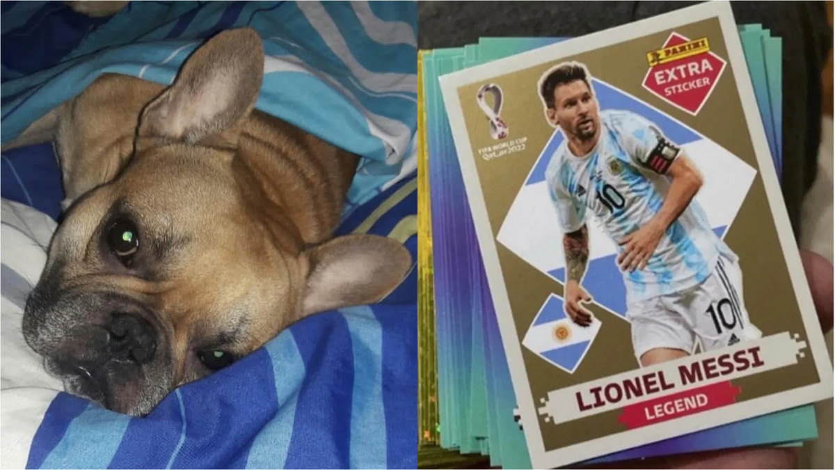 Un nene de siete años ofrece la figurita de Lionel Messi como recompensa para recuperar al perro de su amiga