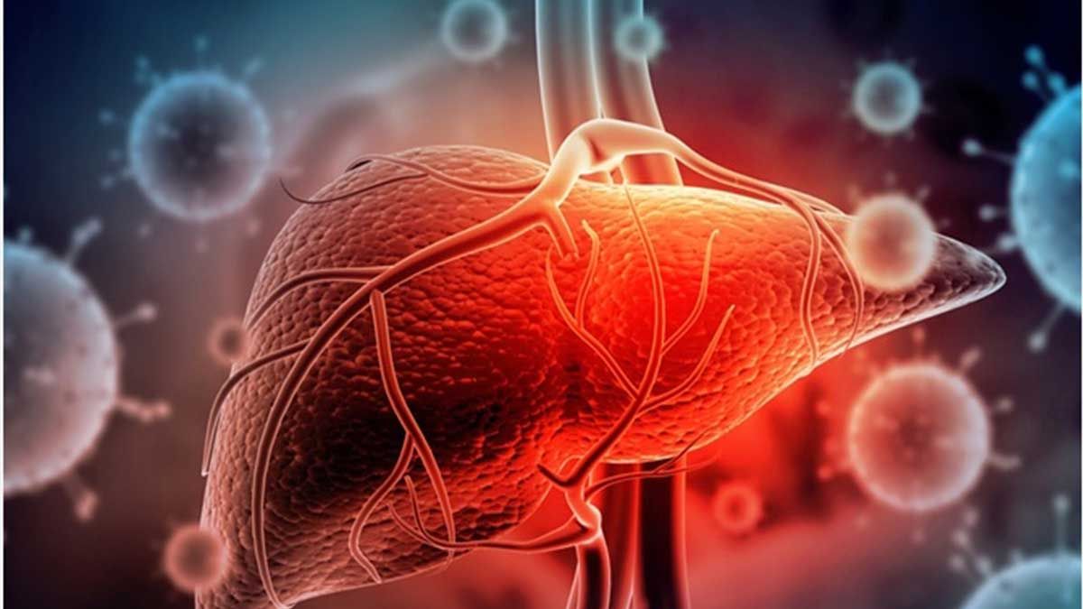 La hepatitis A se transmite principalmente de forma fecal-oral