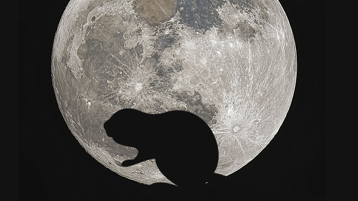 La Luna del Castor que afectará a TODOS los signos en los últimos días de noviembre
