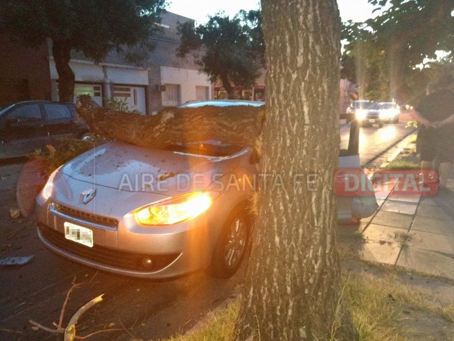 Una enorme rama cayó sobre dos autos en Macrocentro