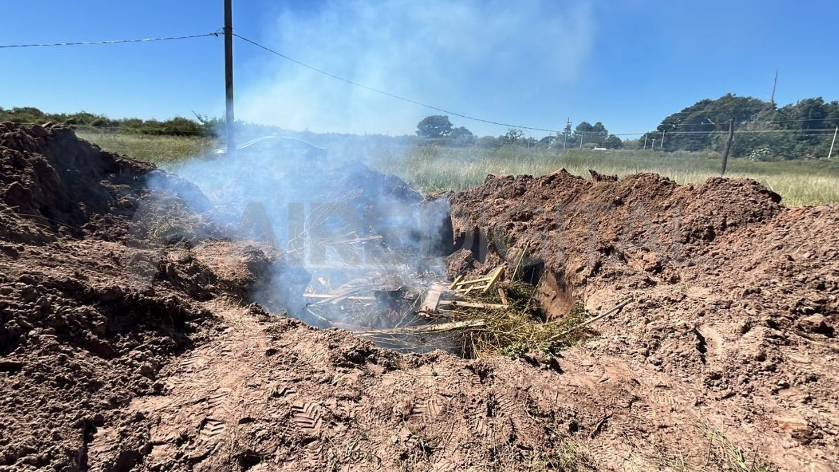 La Policía Federal Argentina fue la encargada de incendiar las plantas en Arroyo Leyes. La Policía Federal Argentina fue la encargada de incendiar las plantas en Arroyo Leyes.