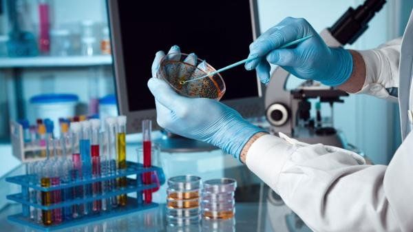 Científicos argentinos trabajan en un método de diagnóstico para evitar los antibióticos “por las dudas”