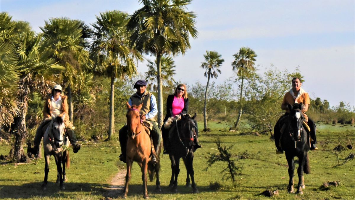 Cabalgatas entre los esteros: una experiencia que conecta al visitante con la naturaleza y las tradiciones de Colonia Carlos Pellegrini. Cabalgatas entre los esteros: una experiencia que conecta al visitante con la naturaleza y las tradiciones de Colonia Carlos Pellegrini.