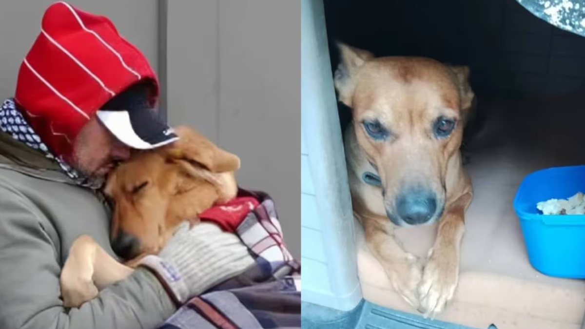 Juan murió de frío en Mendoza tras negarse a entrar a un refugio que no aceptaba a su perro.