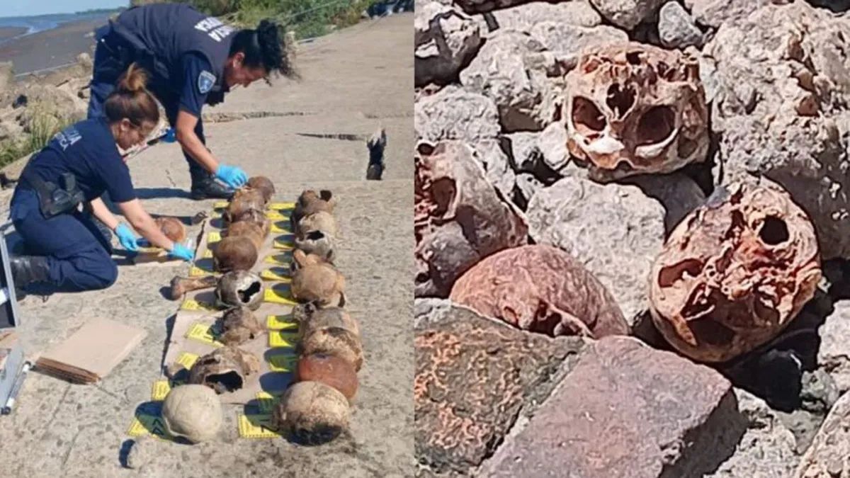Cráneos humanos encontrados en una playa de Quilmes