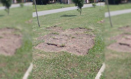 Barrios Los Cipreses: así quedaron los espacios públicos de donde se llevaron los panes de césped