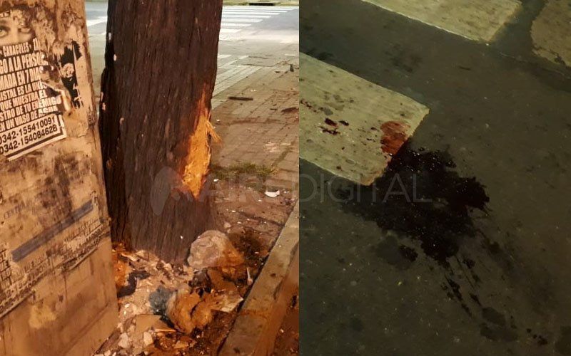 Un motociclista despistó, chocó contra un árbol y fue trasladado al Cullen