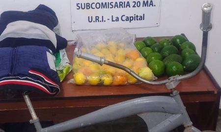 Ocurrió en Arroyo Leyes. El hombre sufrió lesiones al caer de un árbol mientras intentaba llevarse frutas de una propiedad vecina. Ocurrió en Arroyo Leyes. El hombre sufrió lesiones al caer de un árbol mientras intentaba llevarse frutas de una propiedad vecina.