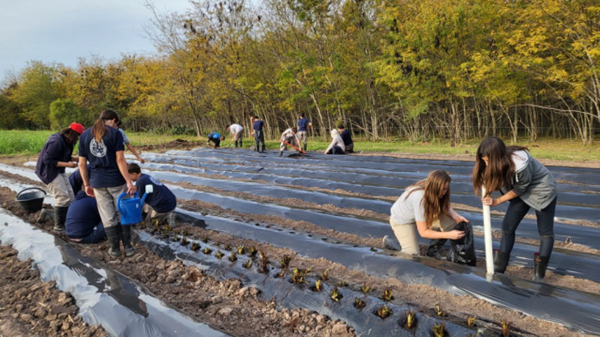 La provincia de Santa Fe cuenta con 32 escuelas agrotécnicas en su territorio.