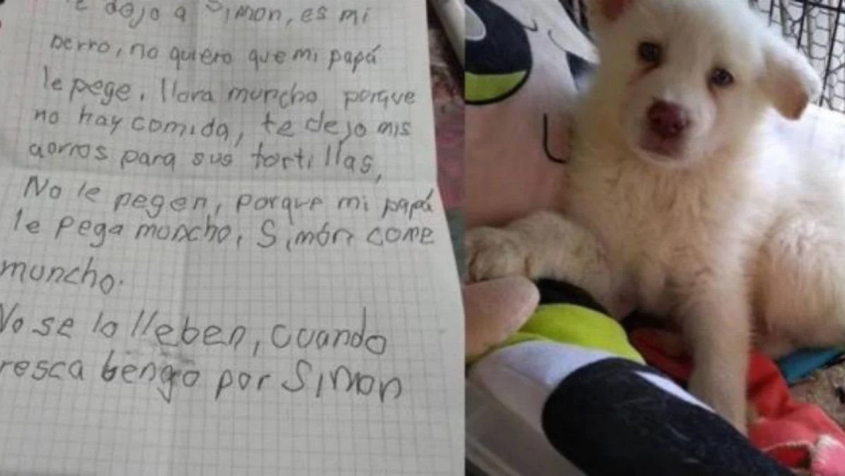 Ni&ntilde;o a&uacute;n le escribe cartas a Sim&oacute;n