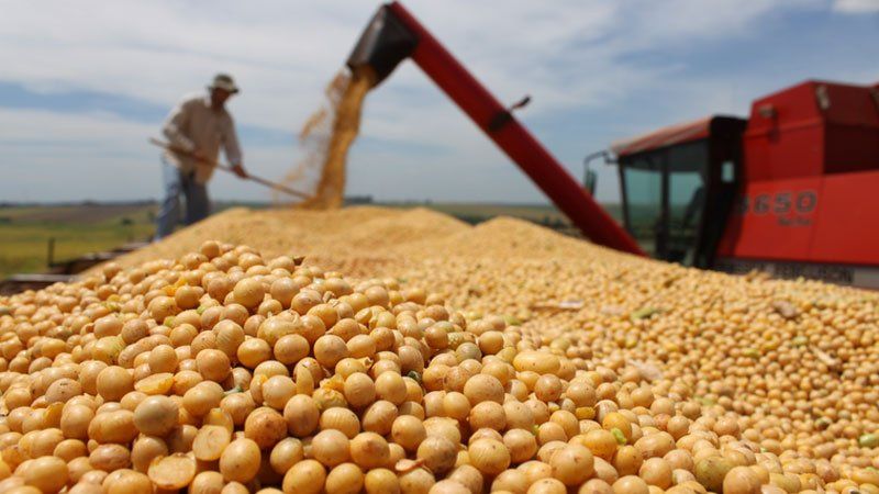 Importante rechazo a la eliminación del Fondo Soja