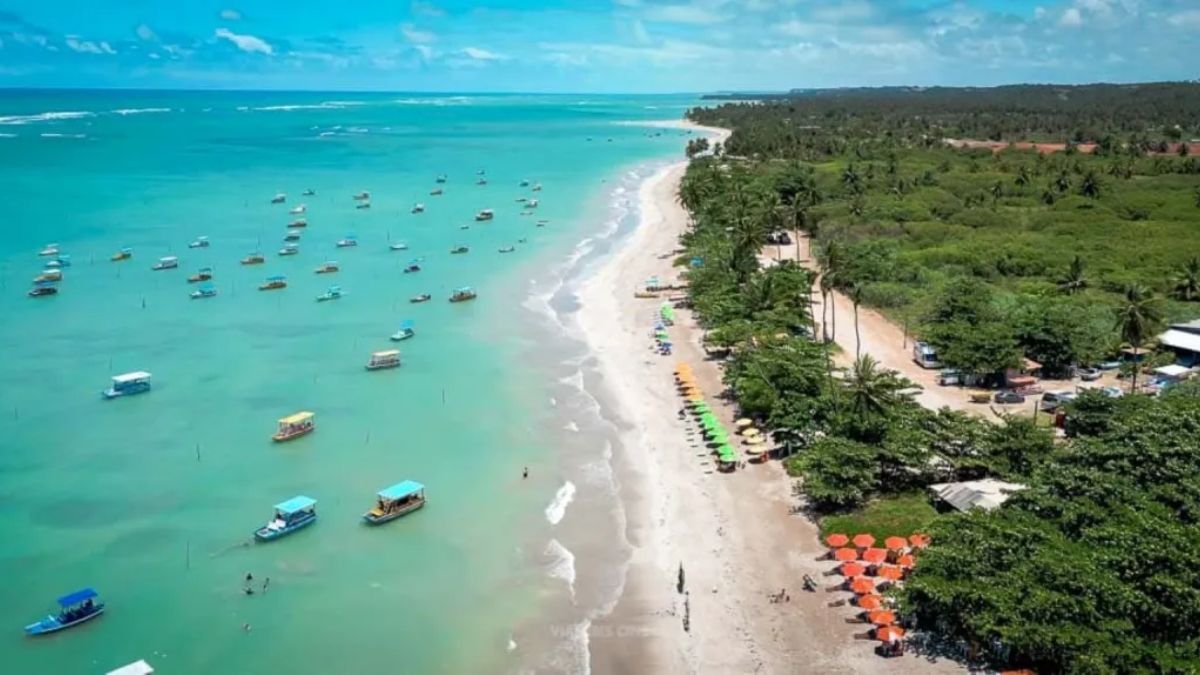 La formación de las famosas piscinas naturales depende del movimiento diario del mar; los guías locales utilizan tablas de mareas precisas para garantizar la mejor visibilidad de los arrecifes de coral.