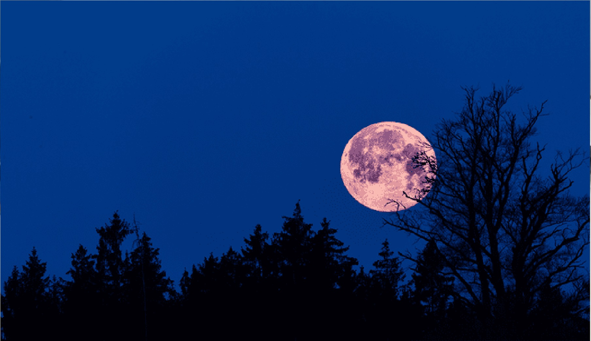 La Luna llena rosa se podrá ver a finales de abril. La Luna llena rosa se podrá ver a finales de abril.