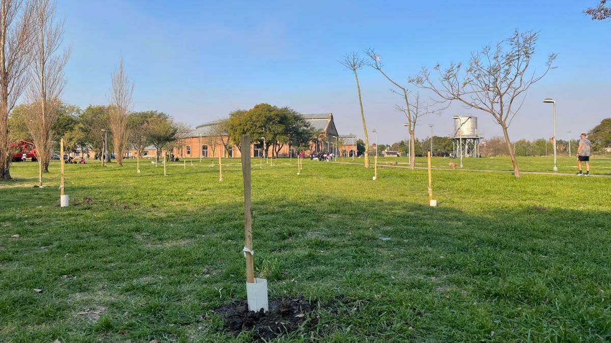 Se plantaron 30 árboles en el Parque federal y en dos semanas se continuará con el proyecto de 15 más.