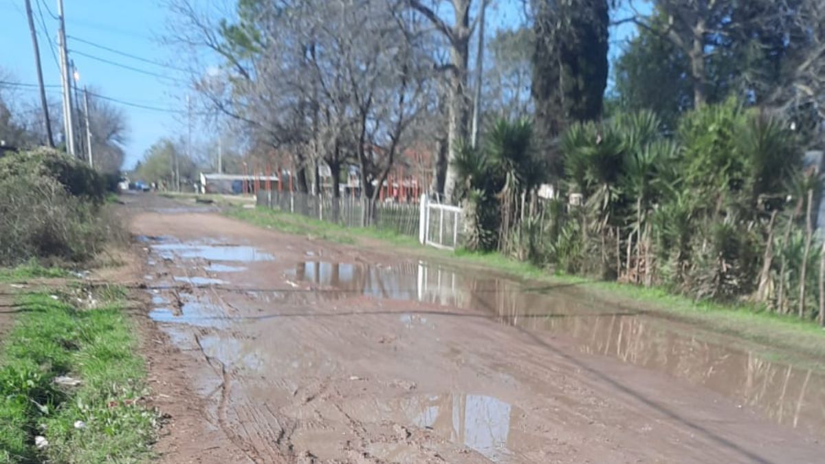 La misma escena se repite en los barrios Abasto y Loyola de la ciudad de Santa Fe. La misma escena se repite en los barrios Abasto y Loyola de la ciudad de Santa Fe.