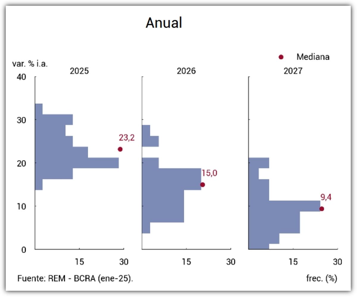 Fuente: REM - BCRA