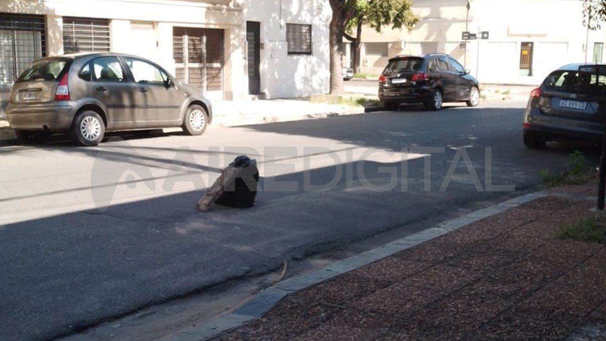 Vecinos de la del club Unión de Santa Fe denuncian el accionar de los cuidacoches.