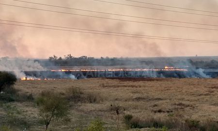 Un frente de fuego avanza en la zona de bañados de la laguna Setúbal. Un frente de fuego avanza en la zona de bañados de la laguna Setúbal.