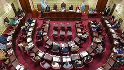 Se presentó en la Cámara de Diputados un proyecto de ley que busca garantizar el acceso a tratamientos, reforzar la prevención del suicidio y fortalecer un sistema que hoy muestra señales de saturación.