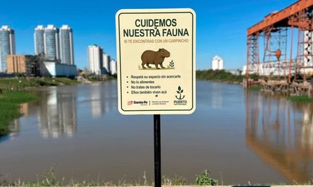 La campaña busca promover la convivencia responsable con los carpinchos del Puerto de Santa Fe. La campaña busca promover la convivencia responsable con los carpinchos del Puerto de Santa Fe.