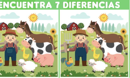 RETO VISUAL nivel PRO: solo el 2% encontró las 7 diferencias ¡en 5 segundos! RETO VISUAL nivel PRO: solo el 2% encontró las 7 diferencias ¡en 5 segundos!