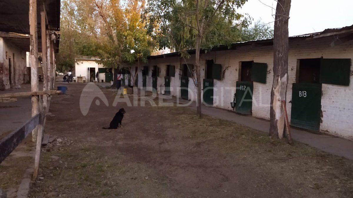 Los trabajadores contin&uacute;an llevando a cabo tareas de mantenimiento tanto de la cancha como de los animales.&nbsp;