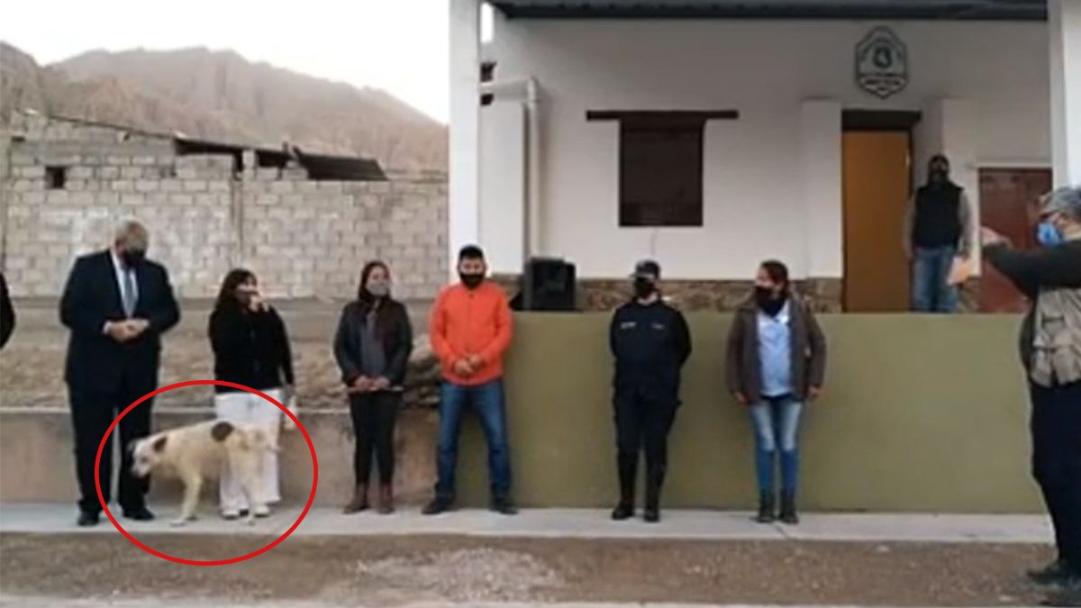 El video es digno de un blooper.&nbsp;