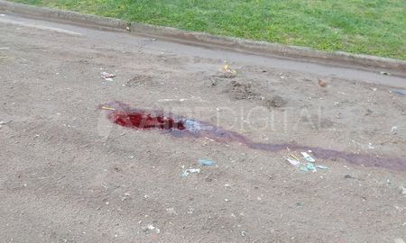 Rastros de sangre. Los rastros encontrados en los últimos días en barrios de Santa Fe. Rastros de sangre. Los rastros encontrados en los últimos días en barrios de Santa Fe.