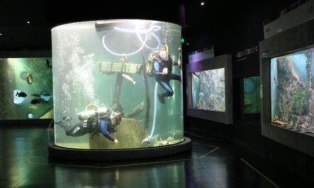 El Acuario del Río Paraná, uno de los imperdibles de Rosario, tuvo un 2025 con crecimiento de visitantes. El Acuario del Río Paraná, uno de los imperdibles de Rosario, tuvo un 2025 con crecimiento de visitantes.