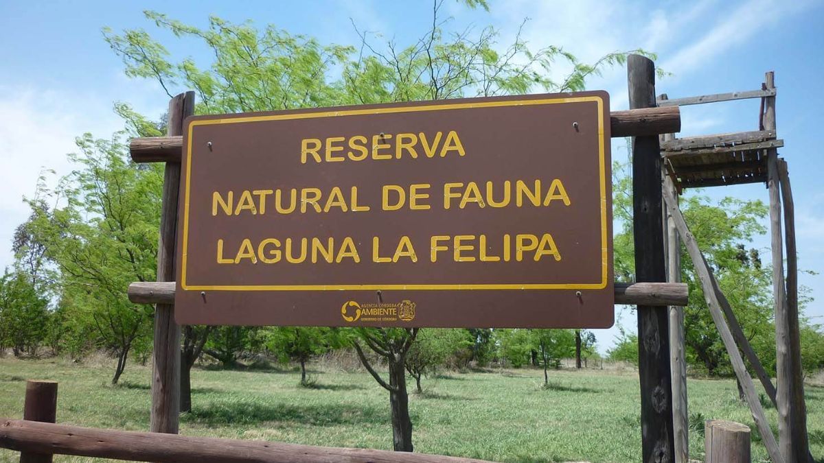 La Reserva Natural Laguna La Felipa es uno de los espacios más preservados y destacados de la provincia. La Reserva Natural Laguna La Felipa es uno de los espacios más preservados y destacados de la provincia.